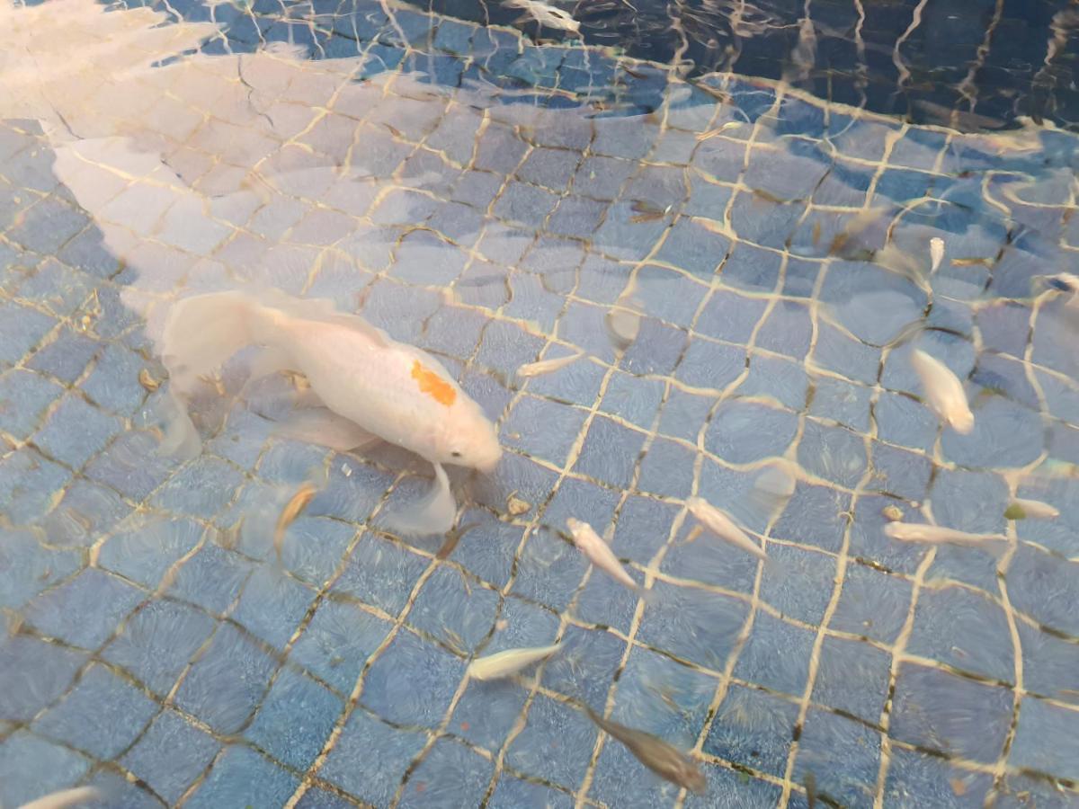 Cancun, Ocean Dream, Beautiful Aparment, Heart Of The Hotel Zone エクステリア 写真